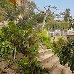 Les Dauphins Bed & Breakfast 4*
