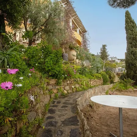 Les Dauphins Bed and Breakfast Le Lavandou
