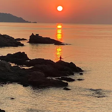 Alojamento de Acomodação e Pequeno-almoço Les Dauphins Le Lavandou