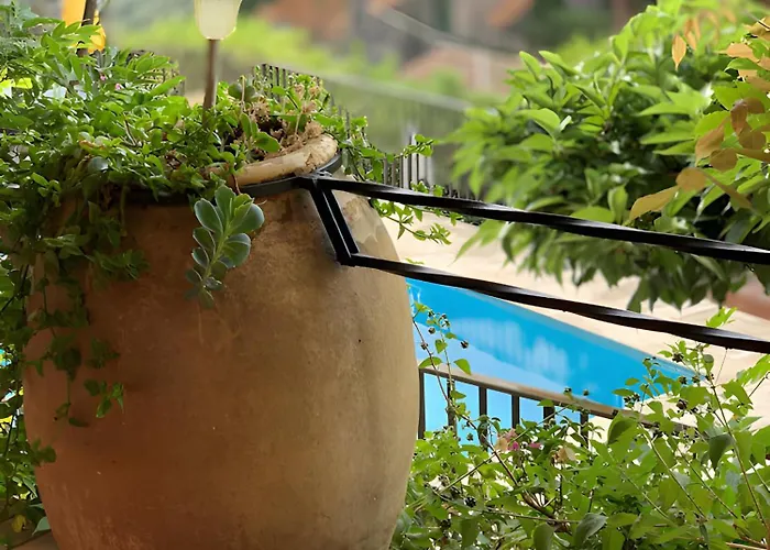 Bed and breakfast Les Dauphins