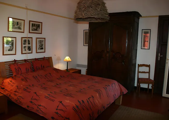 Les Dauphins Le Lavandou