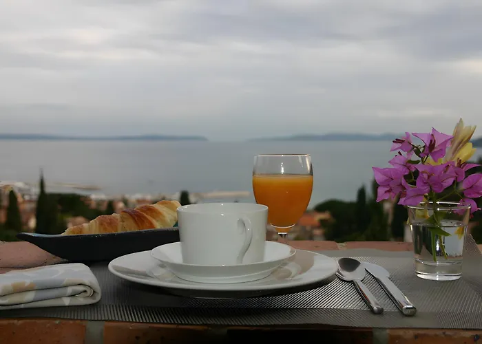 Les Dauphins Le Lavandou