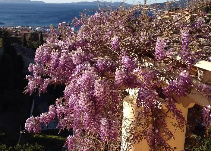Les Dauphins 3* Le Lavandou
